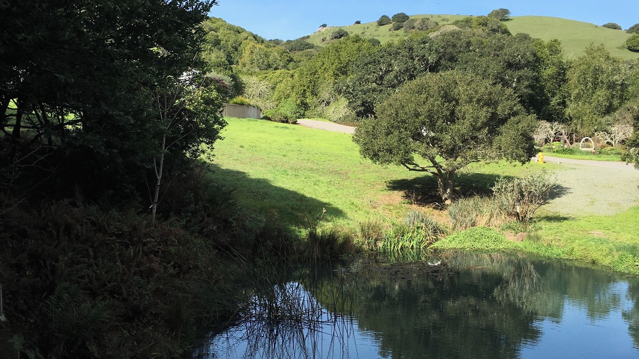 Photo of Others in Nicasio