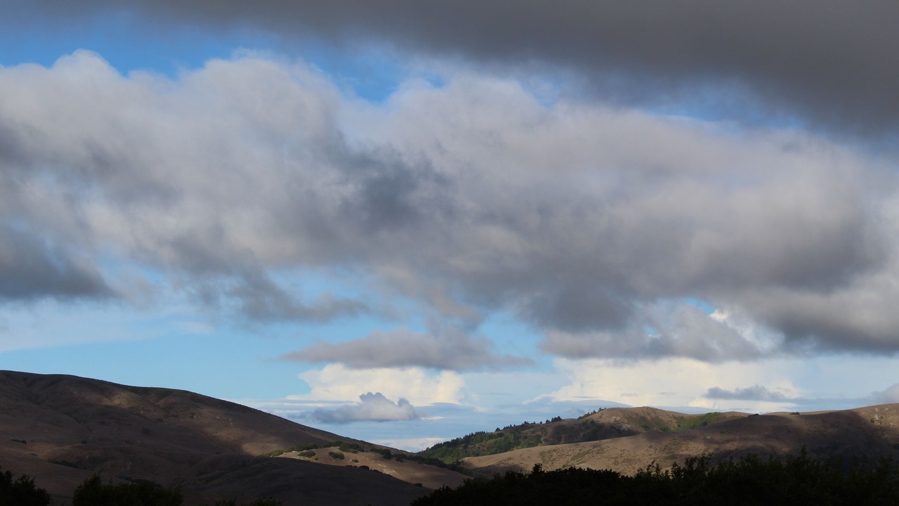 Photo of Others in Nicasio
