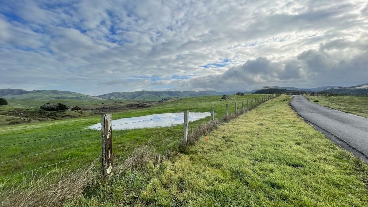 Photo of Others in Nicasio