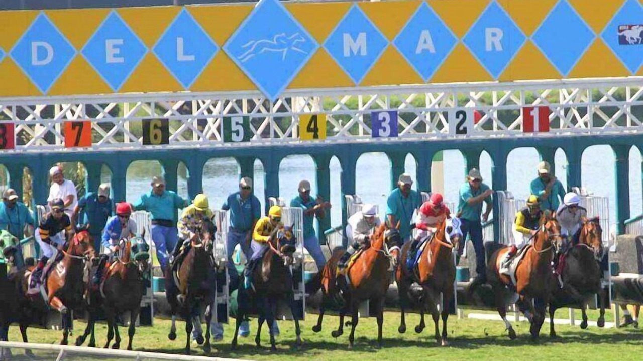 Photo of Others in Del Mar