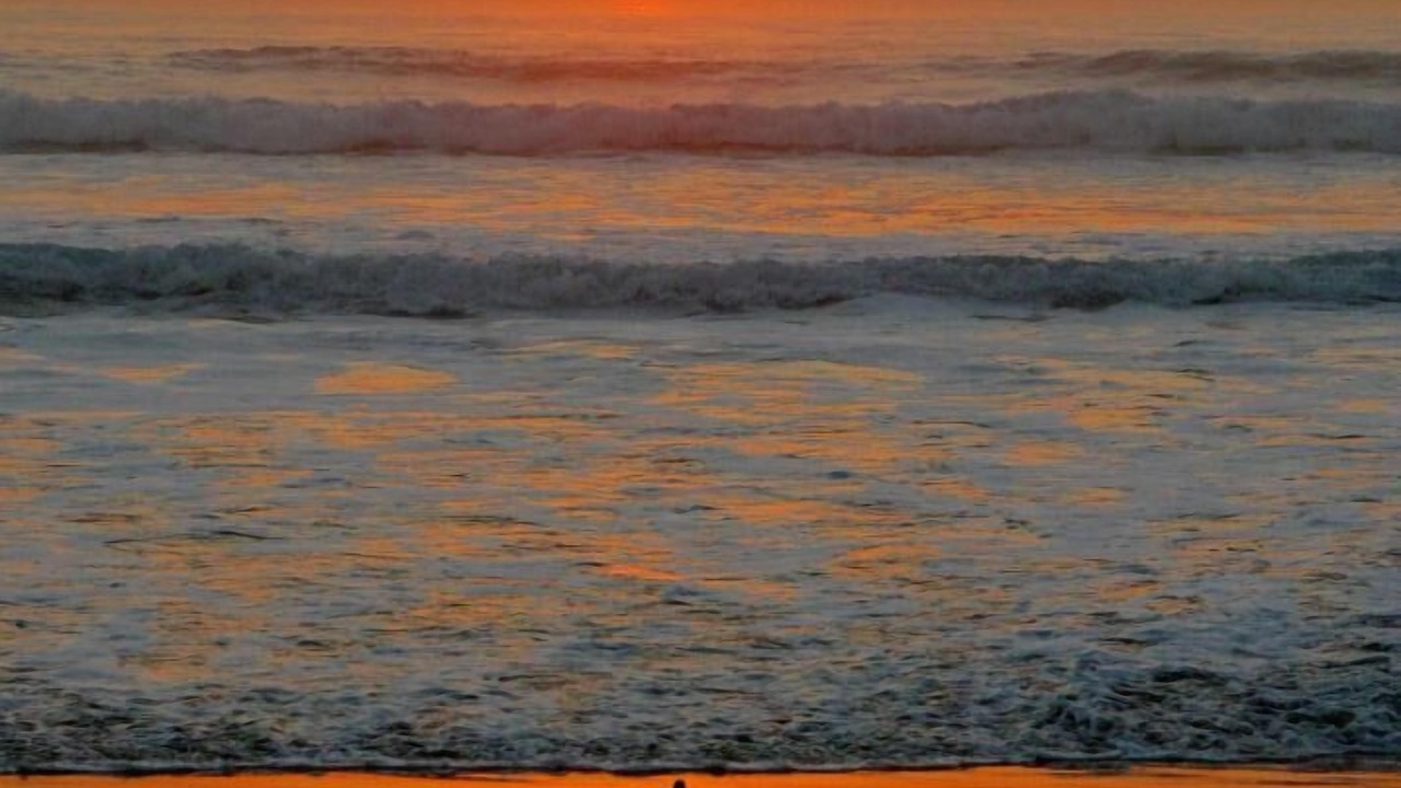 Photo of Others in Del Mar