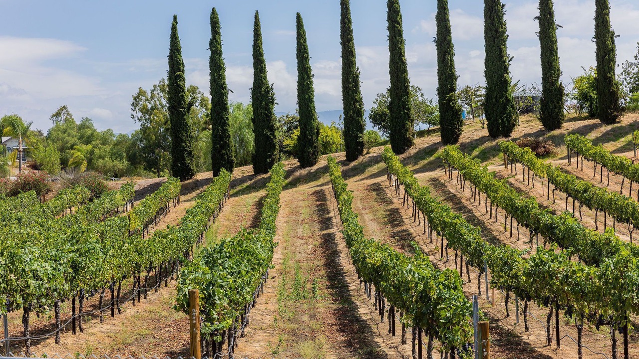 Photo of Outdoor in Temecula