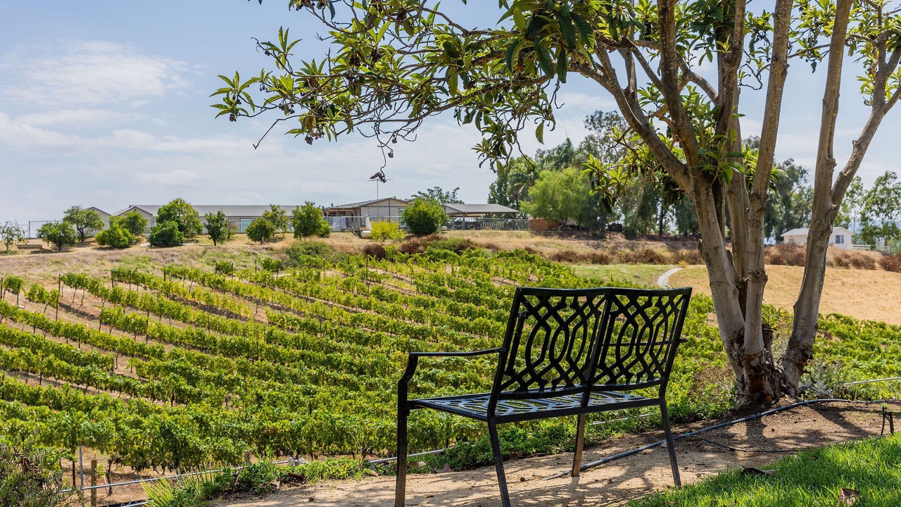 Photo of Outdoor in Temecula