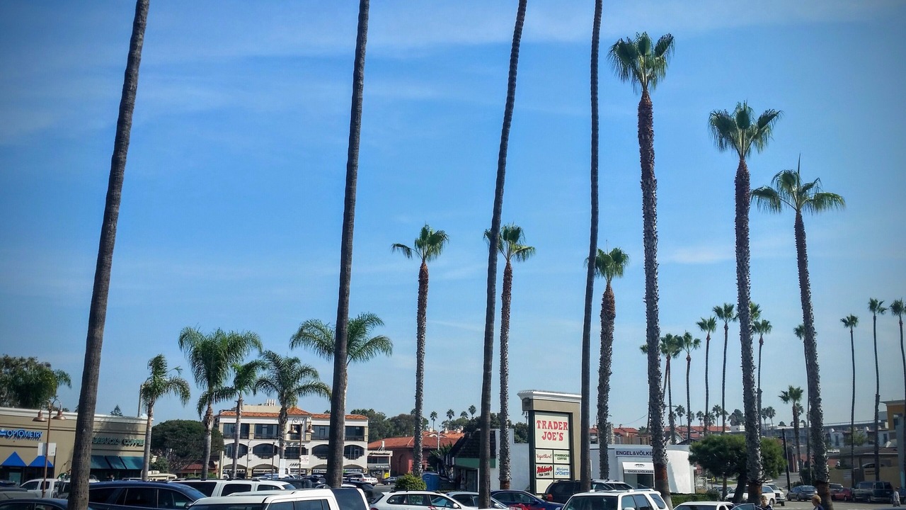 Photo of Others in South Redondo