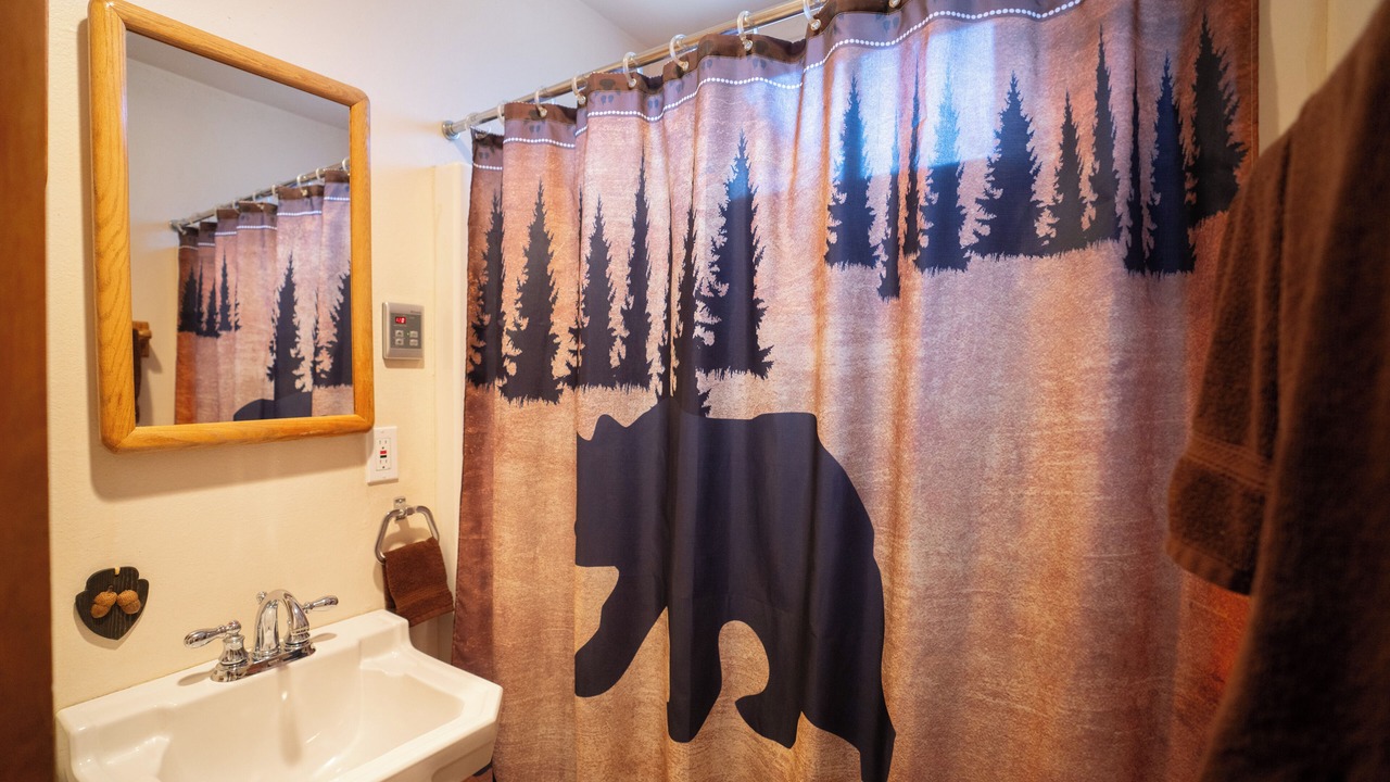 Photo of Bathroom in Twin Peaks