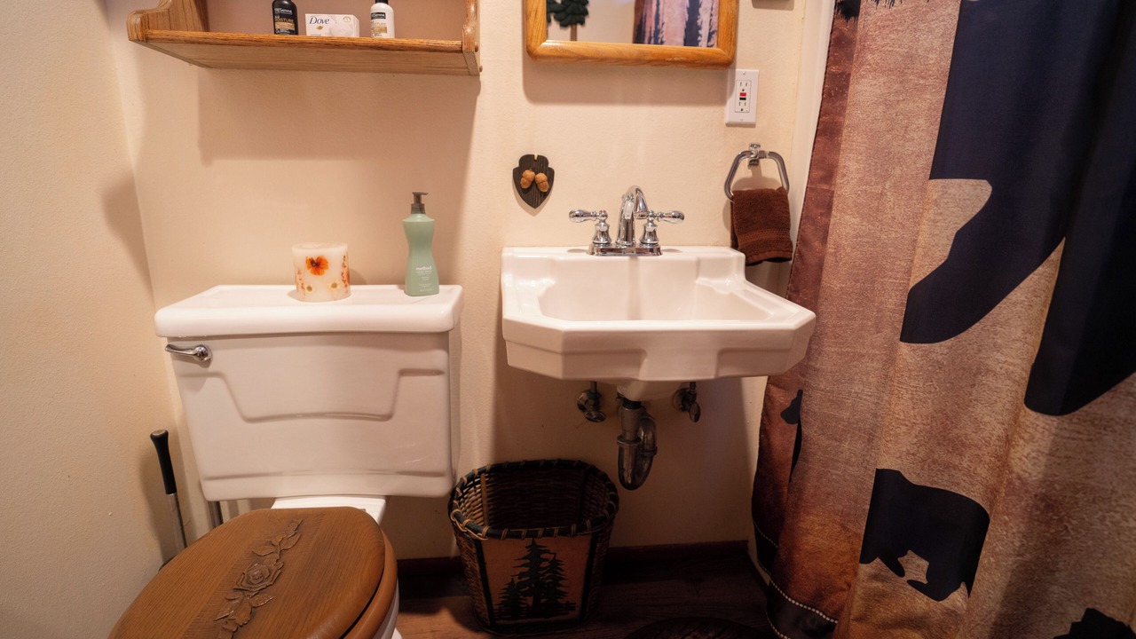 Photo of Bathroom in Twin Peaks