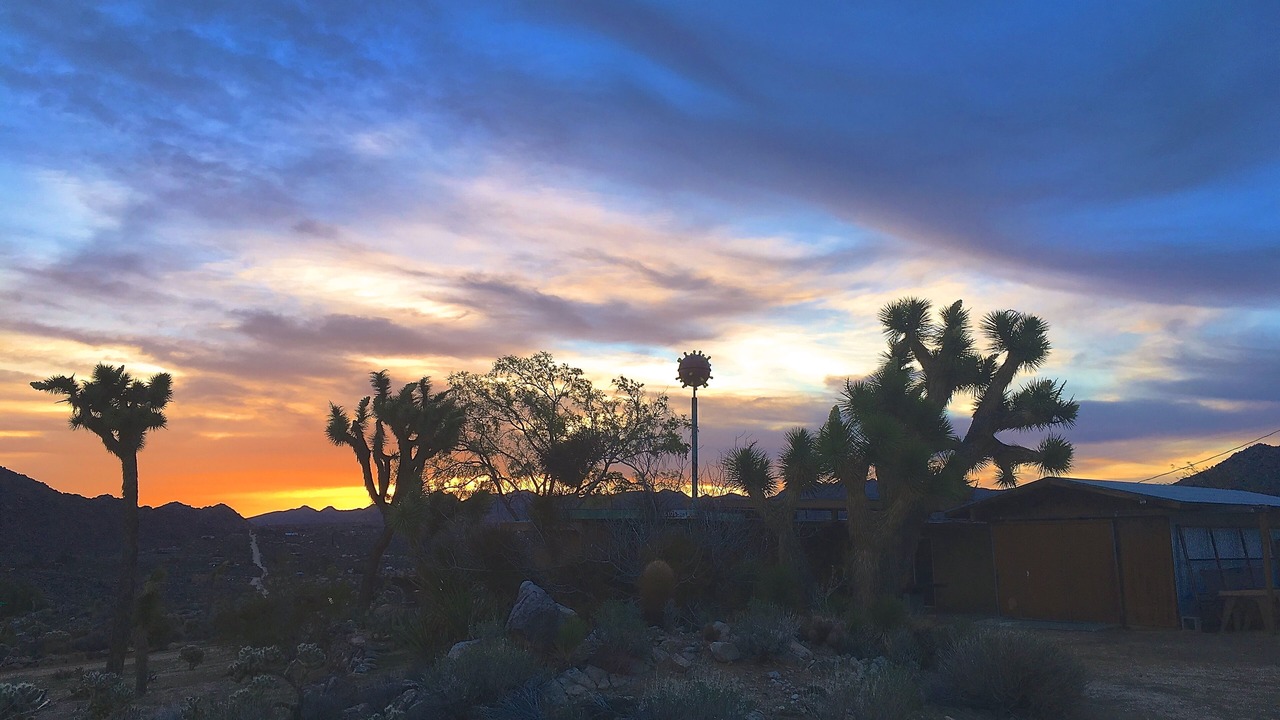 Photo of Outdoor in Joshua Tree Highlands