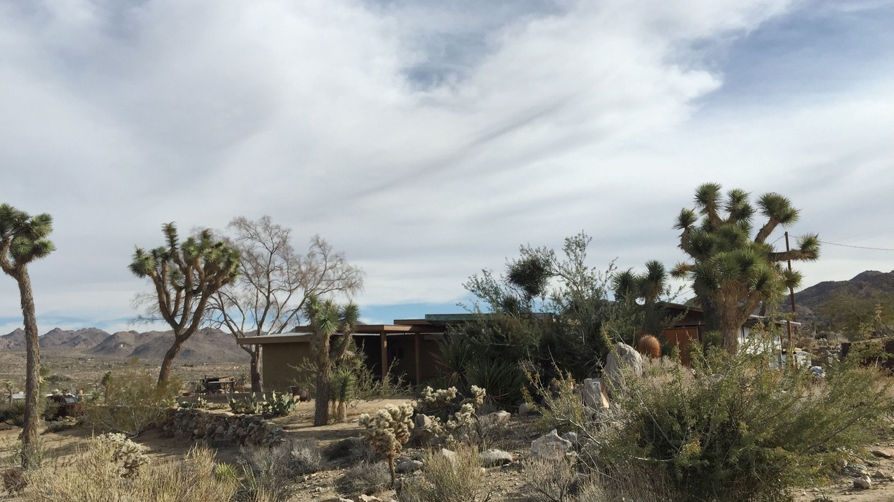 Photo of Others in Joshua Tree Highlands