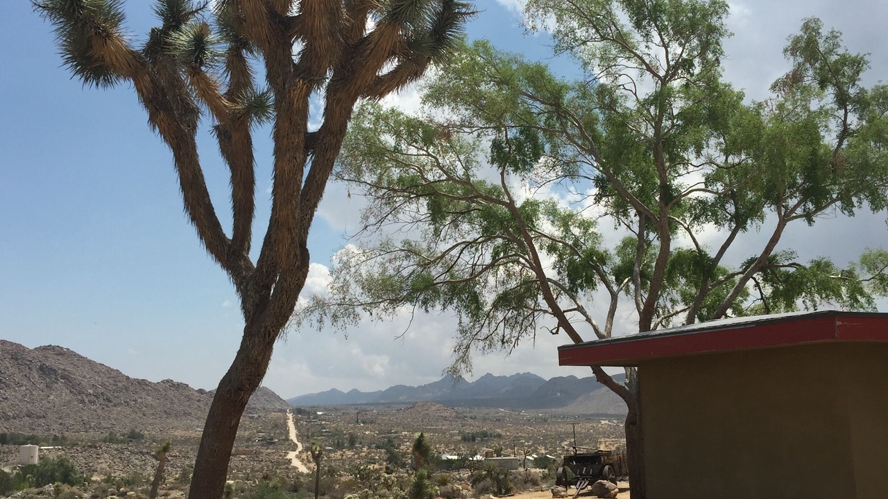 Photo of Others in Joshua Tree Highlands