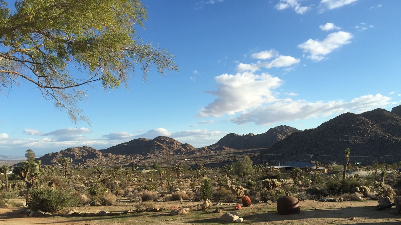 Photo of Outdoor in Joshua Tree Highlands
