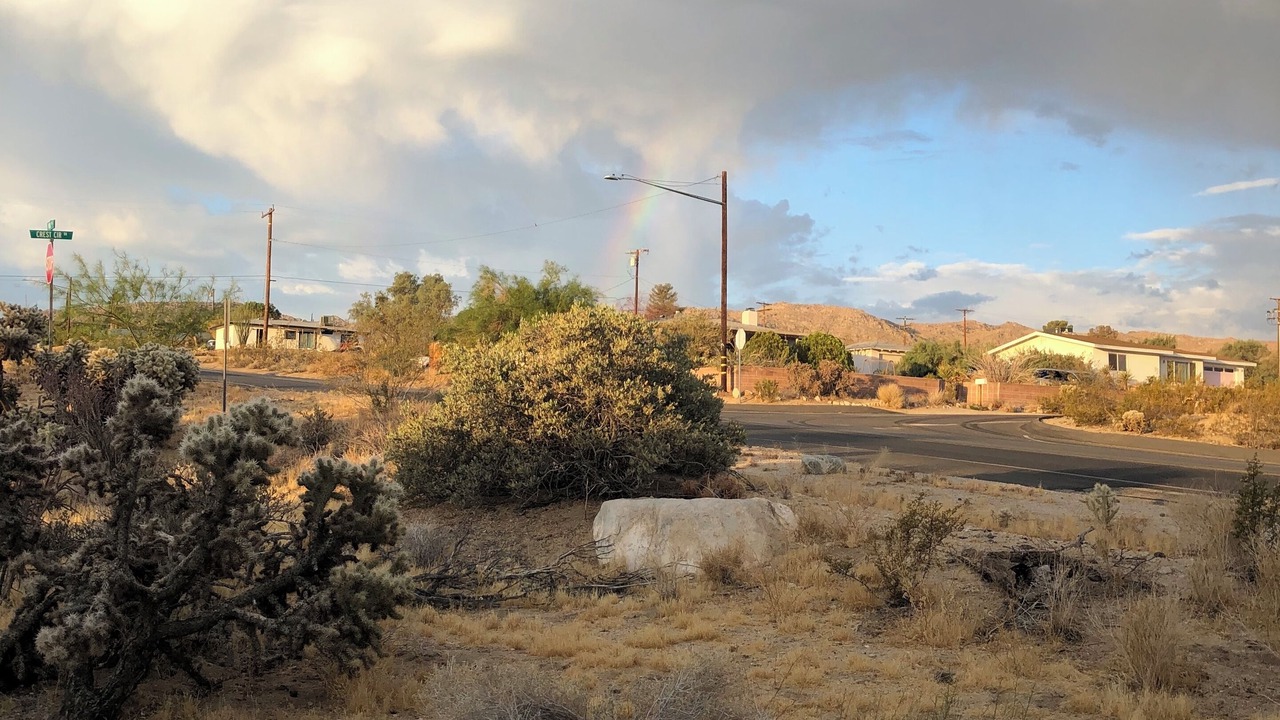 Photo of Others in Joshua Tree