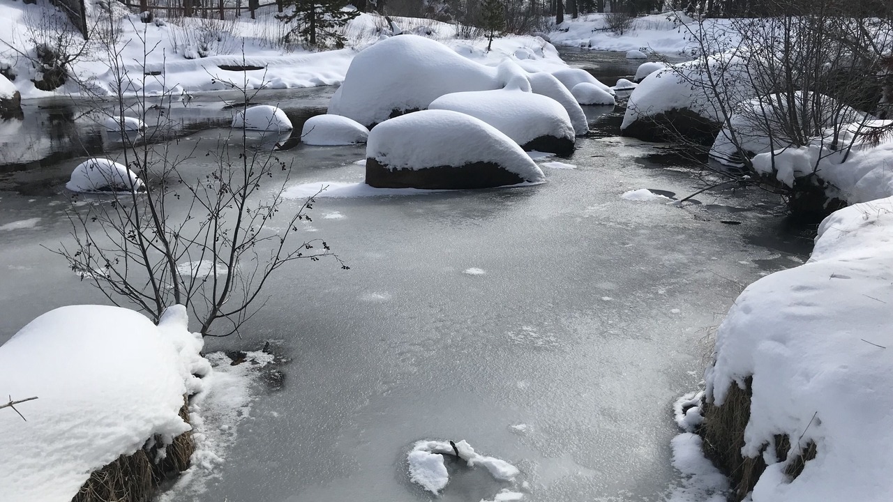 Photo of Others in Christmas Valley
