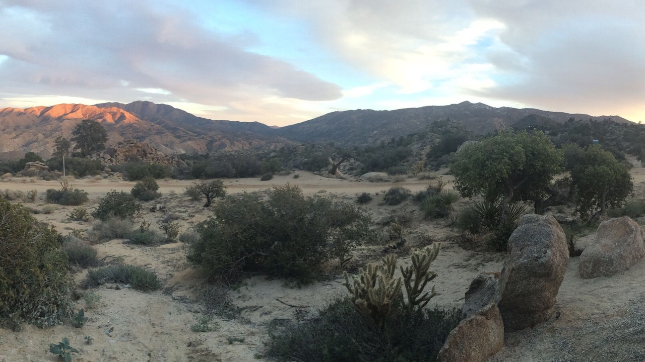 Photo of Others in Pinyon Crest