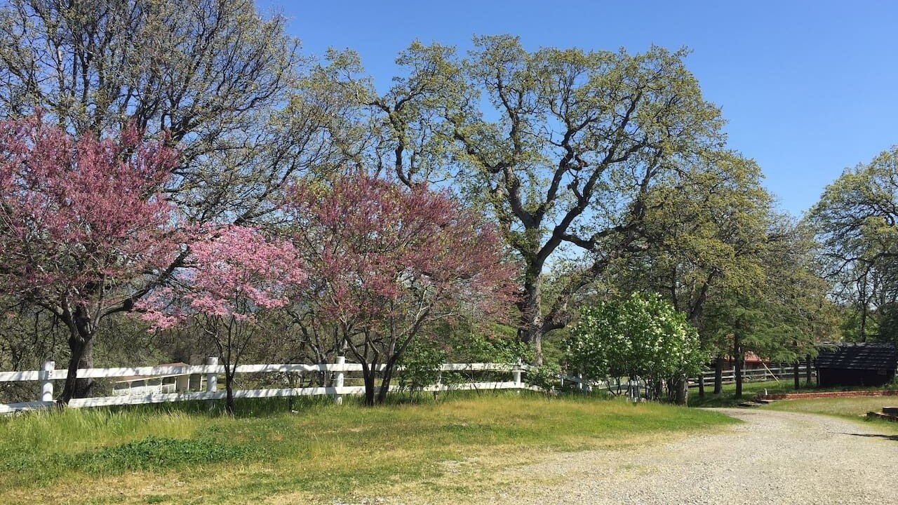 Photo of Others in Mariposa