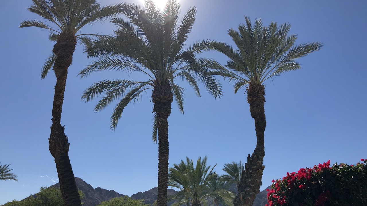 Photo of Outdoor in Palm Desert