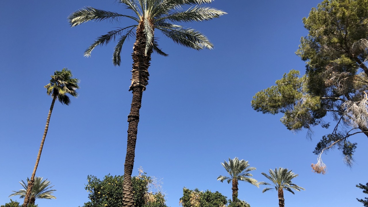 Photo of Others in Palm Desert