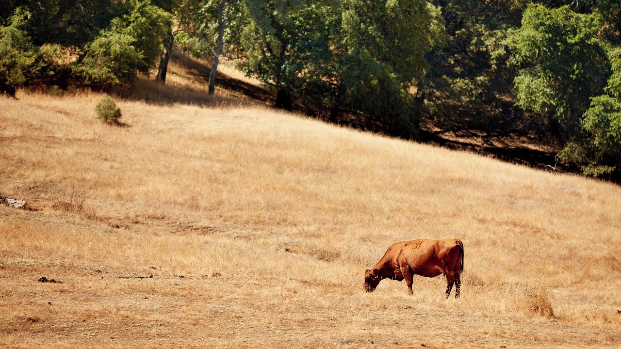 Photo of Others in Groveland