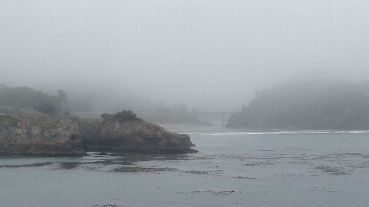 Photo of Others in Mendocino