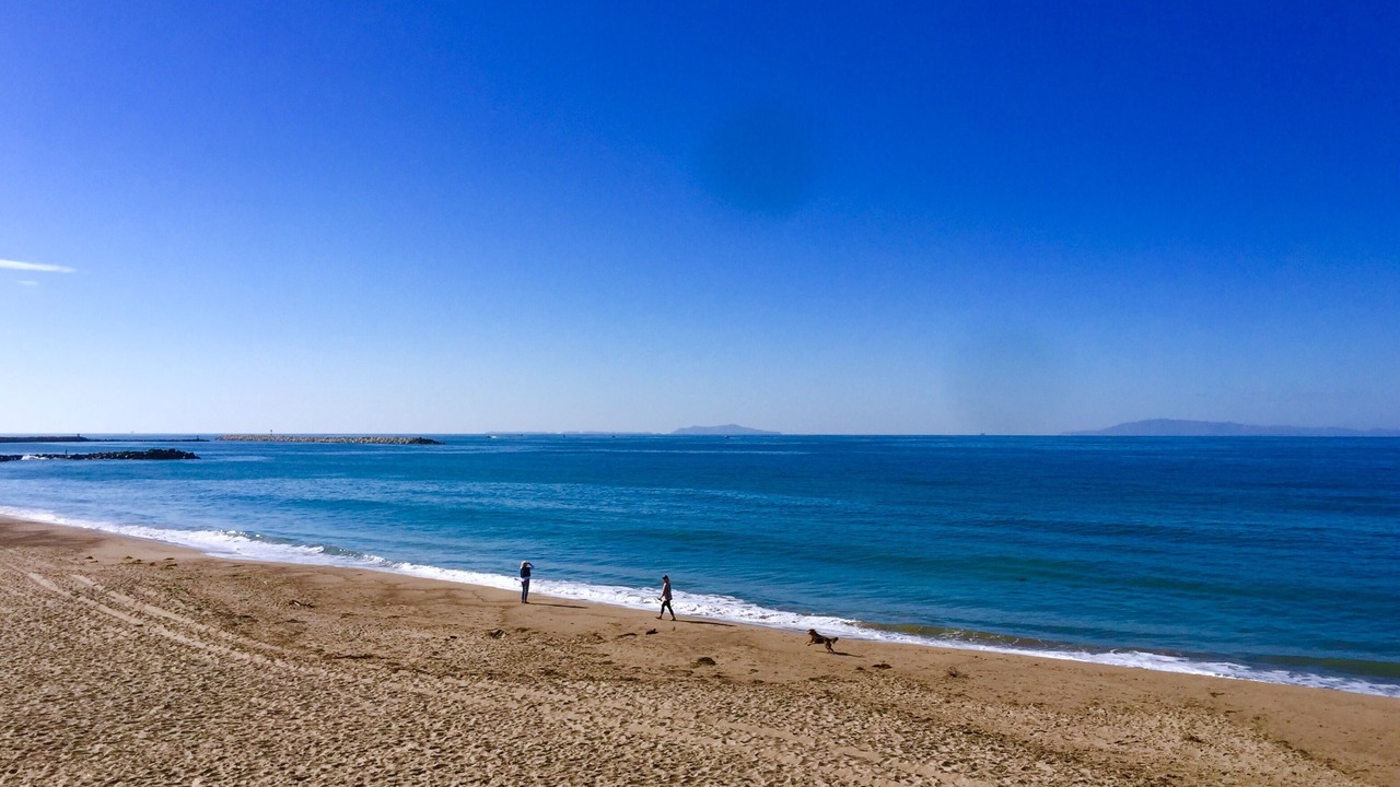 Photo of Others in Pierpont Bay