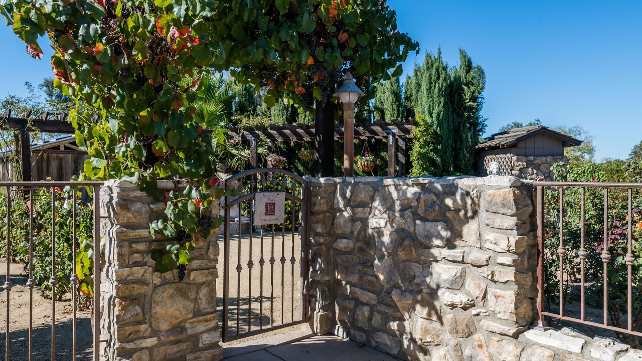 Photo of Outdoor in Morgan Hill