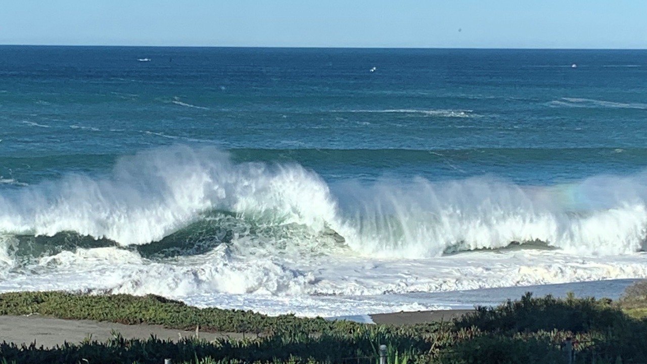 Photo of Others in Sereno del Mar