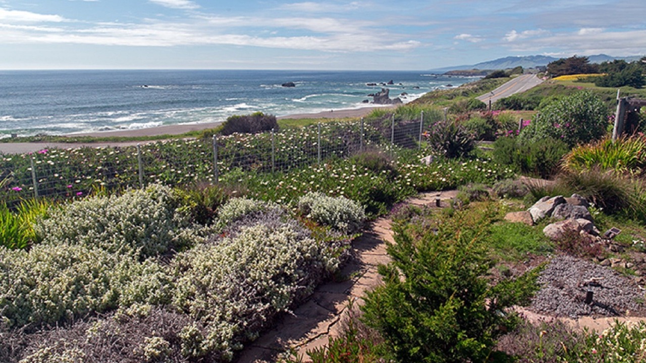 Photo of Outdoor in Sereno del Mar