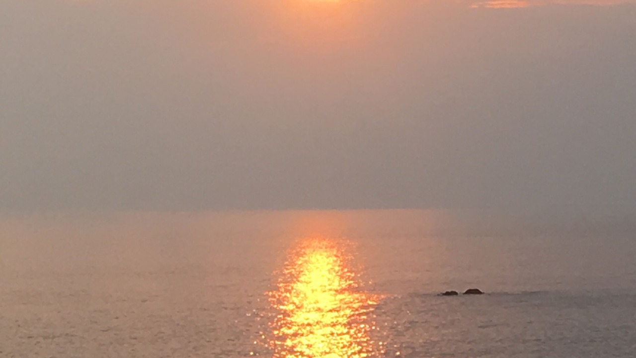 Photo of Others in Sereno del Mar