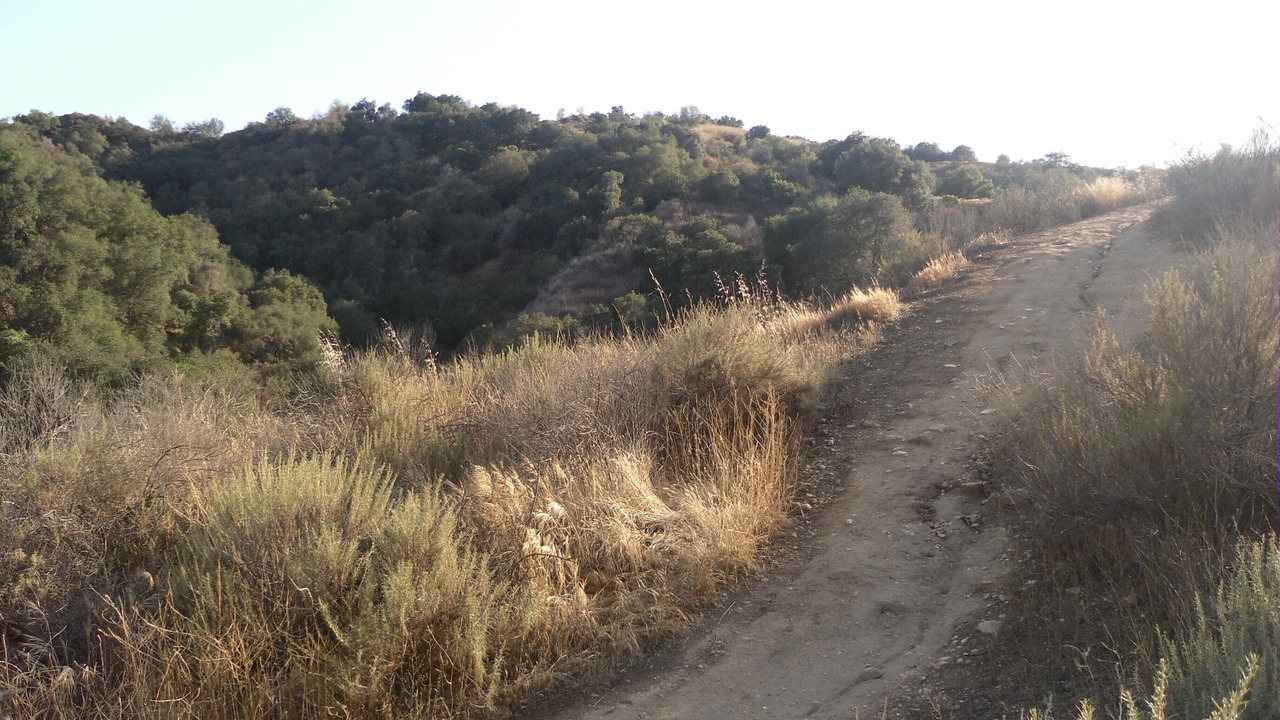 Photo of Others in Hacienda Heights