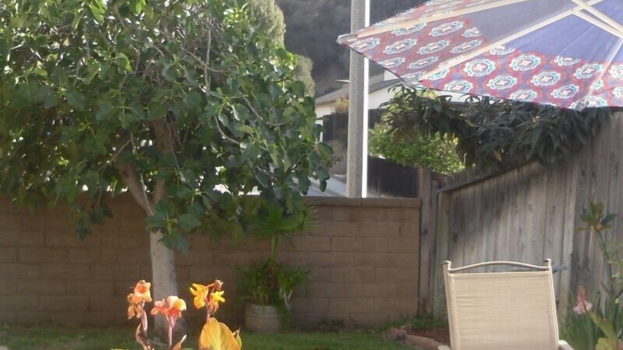 Photo of Outdoor in Hacienda Heights
