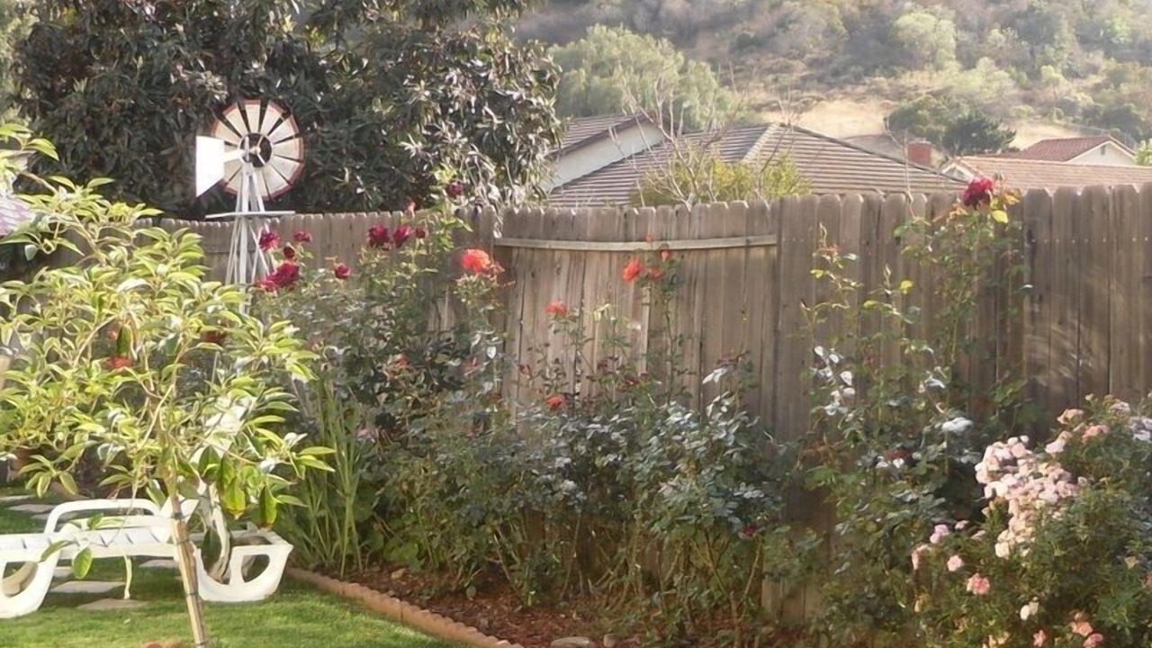 Photo of Outdoor in Hacienda Heights