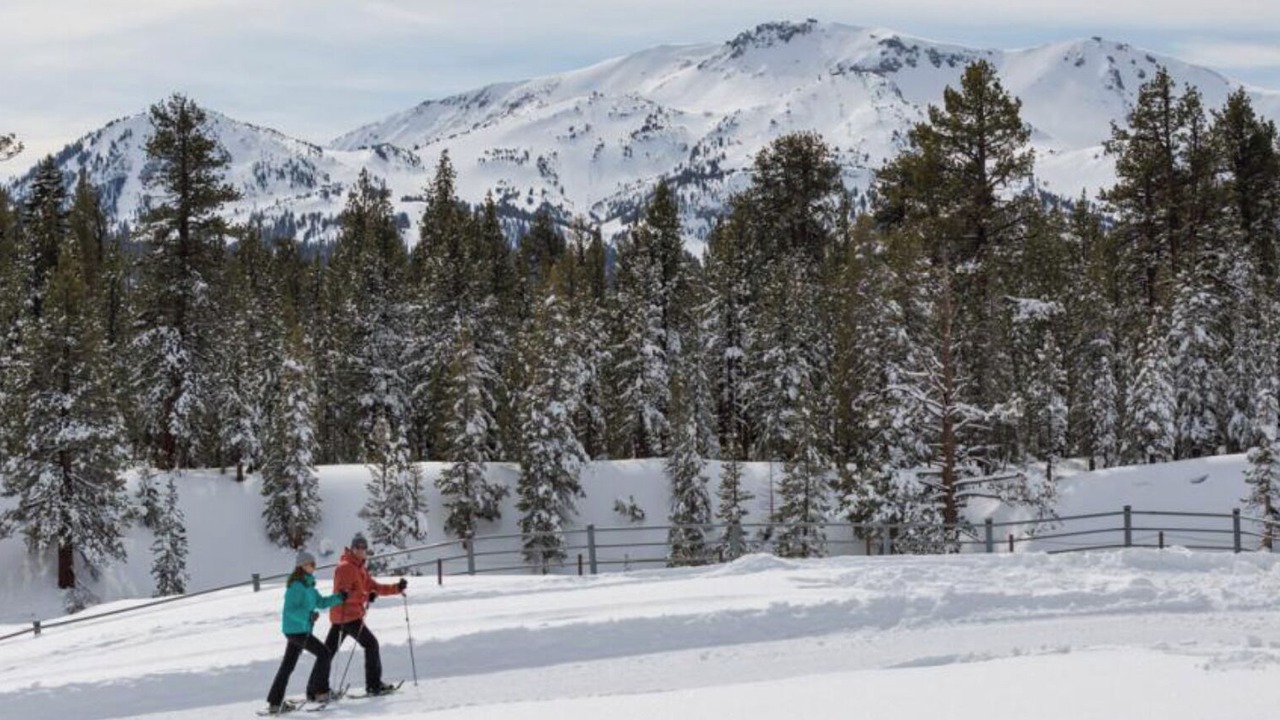 Photo of Others in Mammoth Lakes
