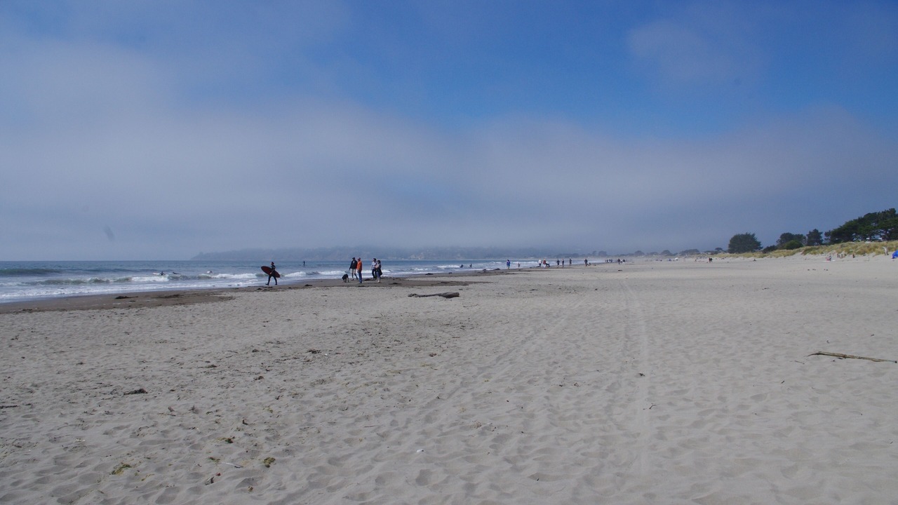 Photo of Others in Mill Valley