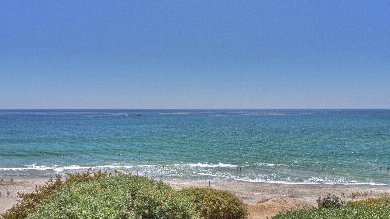 Photo of Others in San Clemente