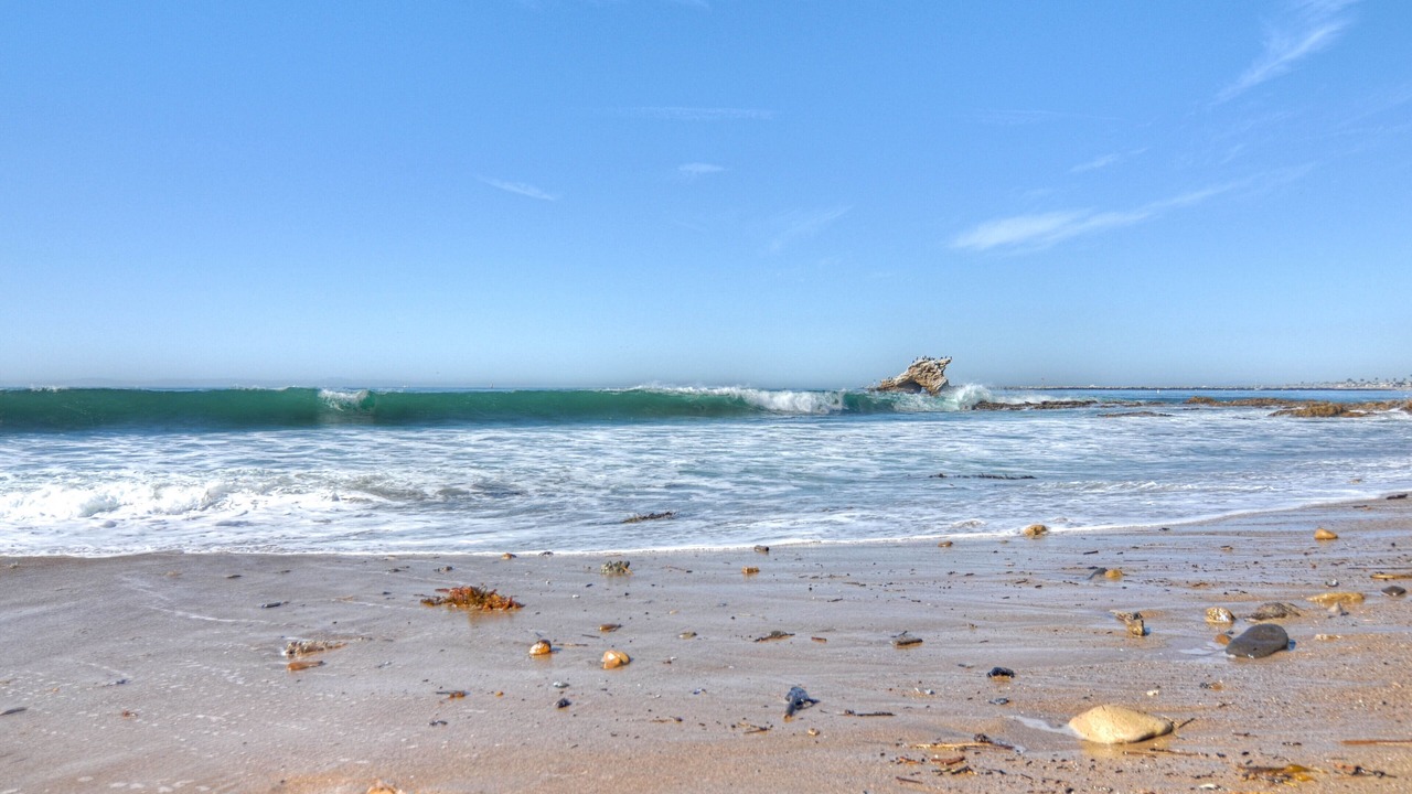 Photo of Others in San Clemente