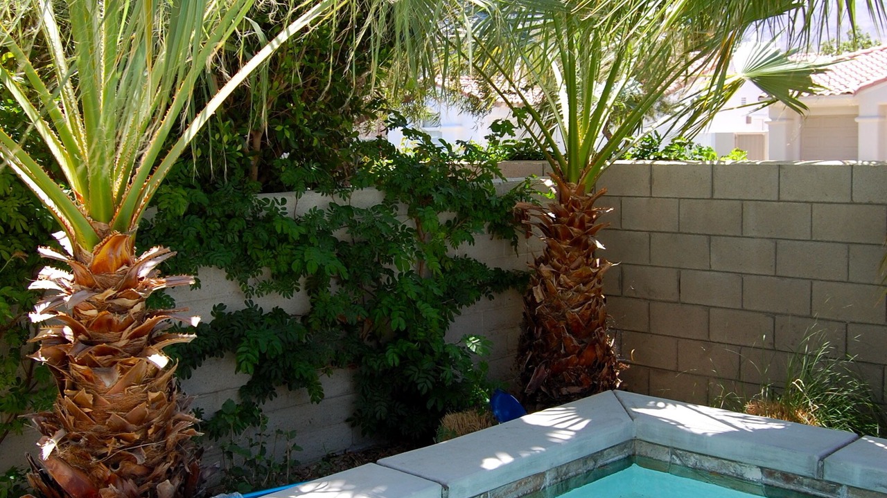 Photo of Others in La Quinta