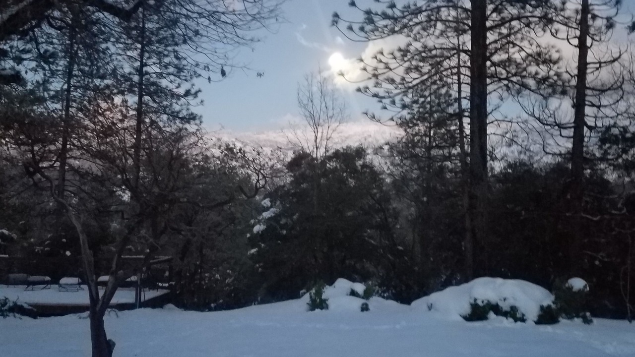 Photo of Outdoor in Wishon