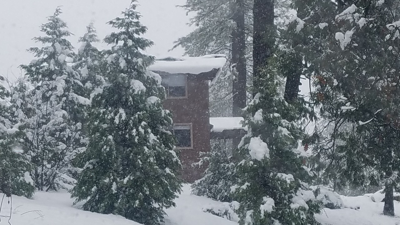 Photo of Outdoor in Wishon