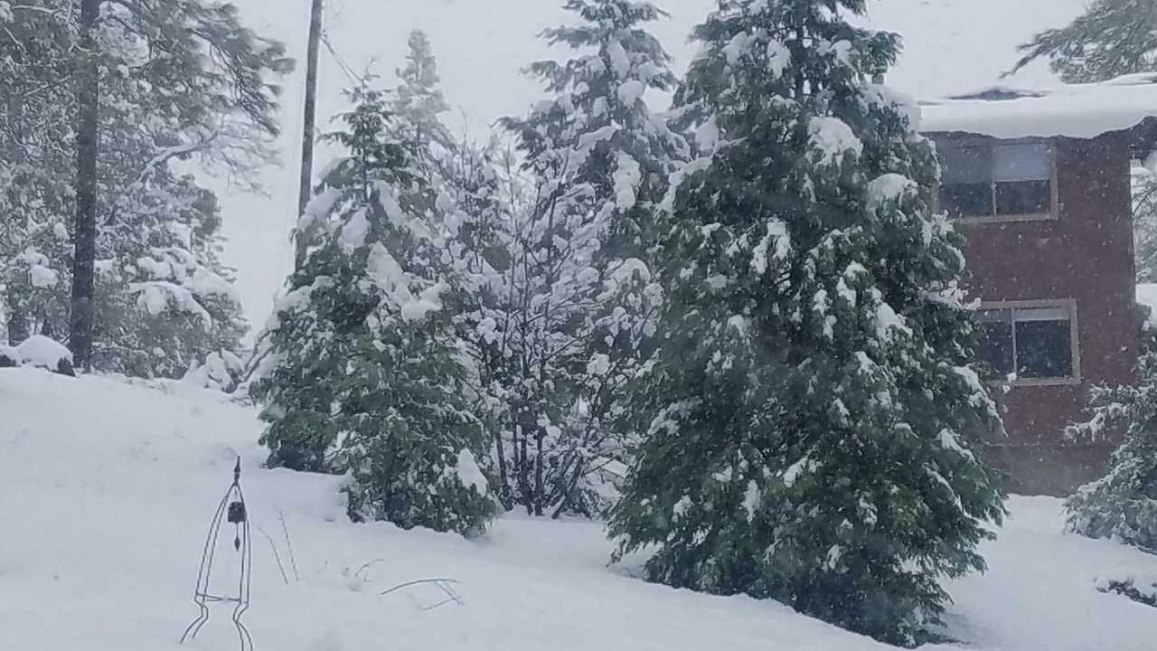 Photo of Others in Wishon