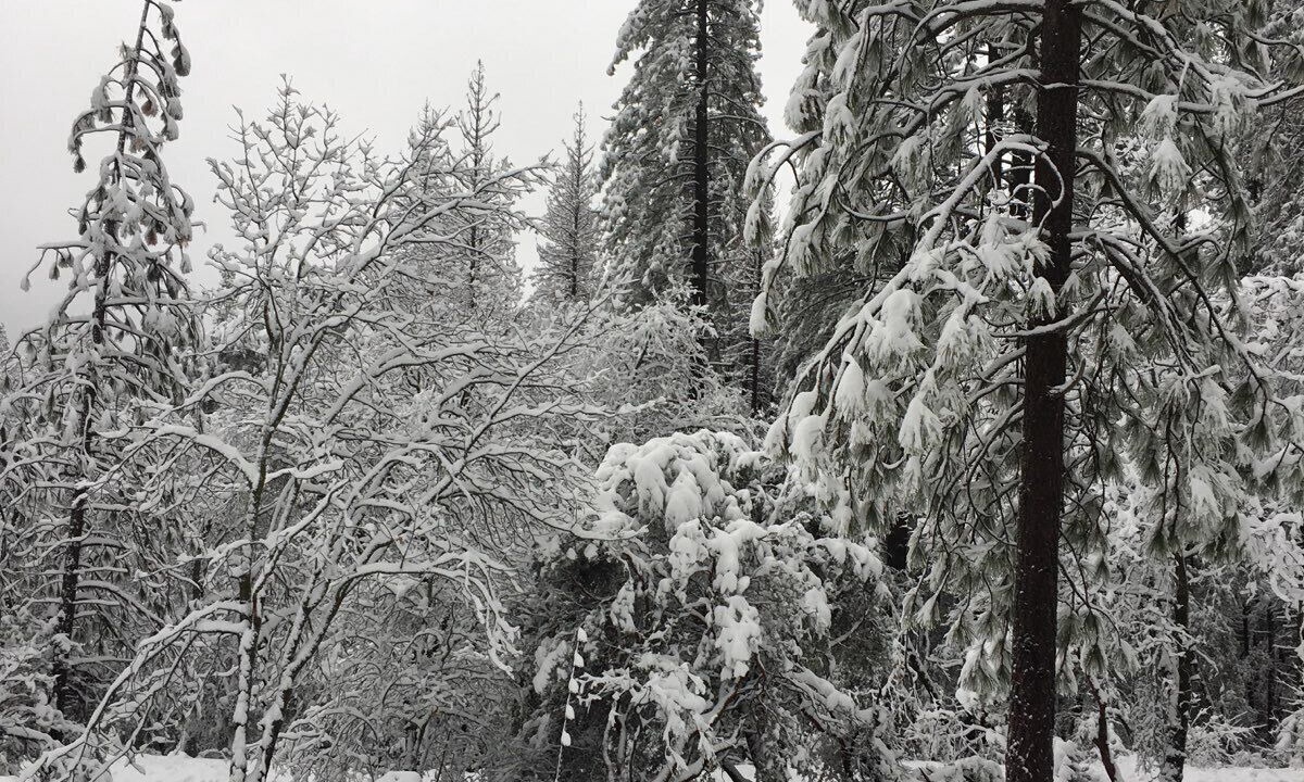 Photo of Others in Wishon