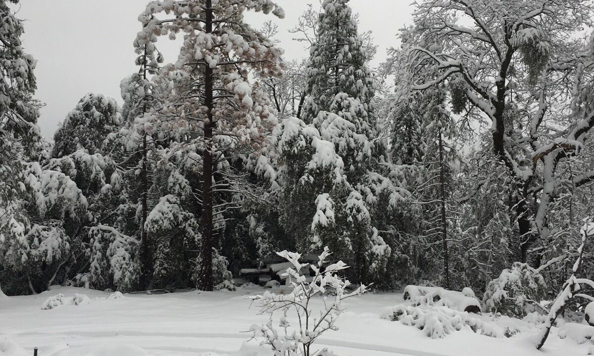 Photo of Others in Wishon