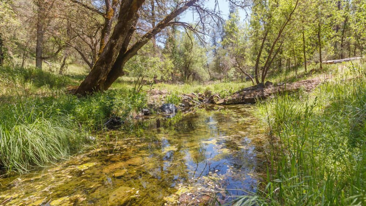 Photo of Others in Mariposa