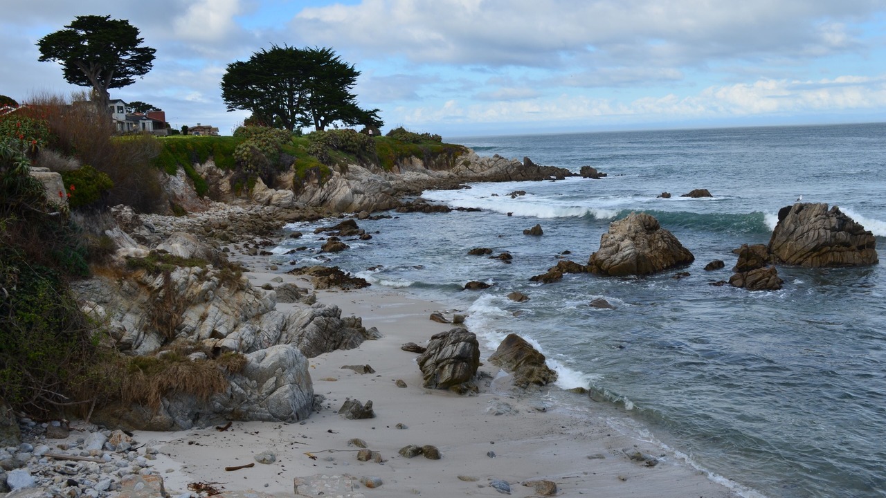 Photo of Others in Pacific Grove