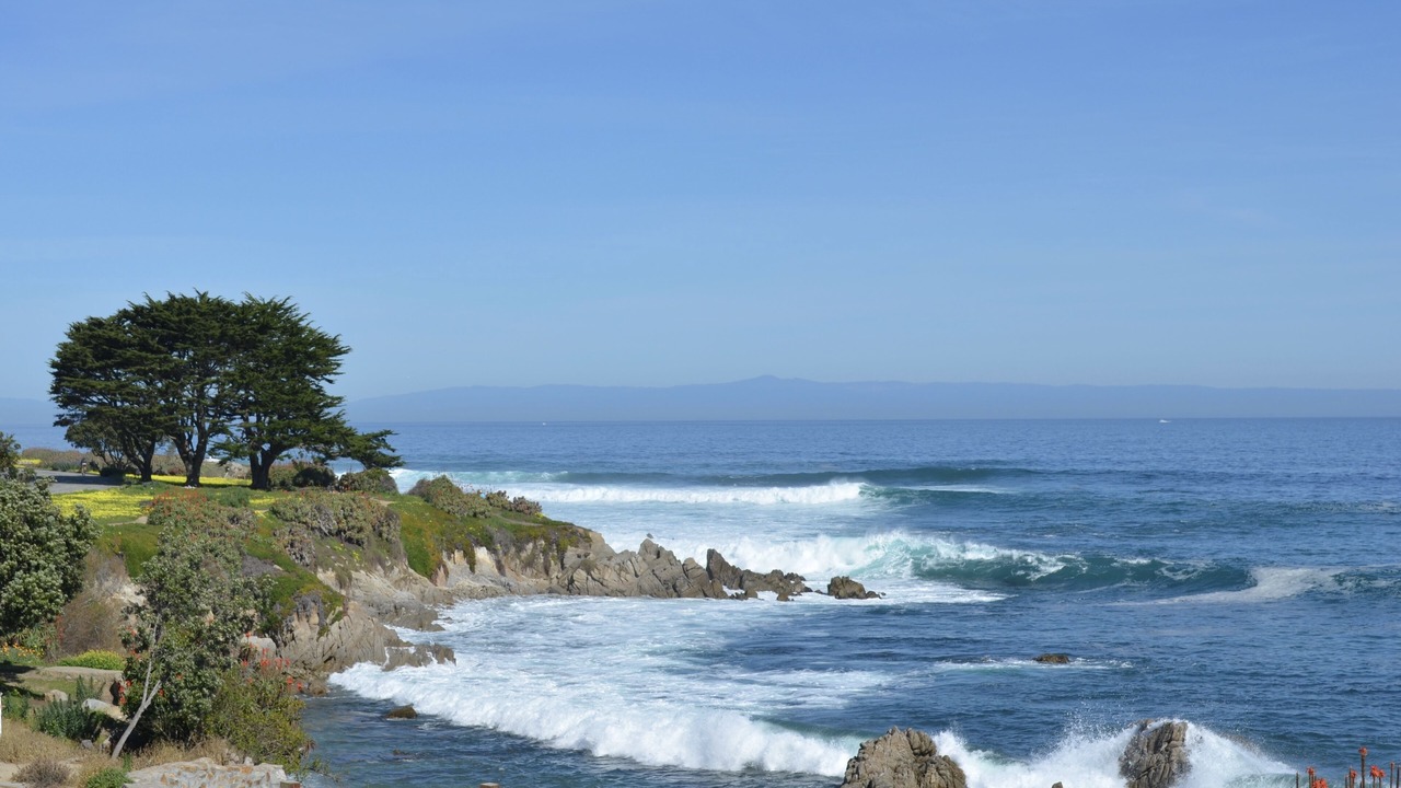 Photo of Others in Pacific Grove