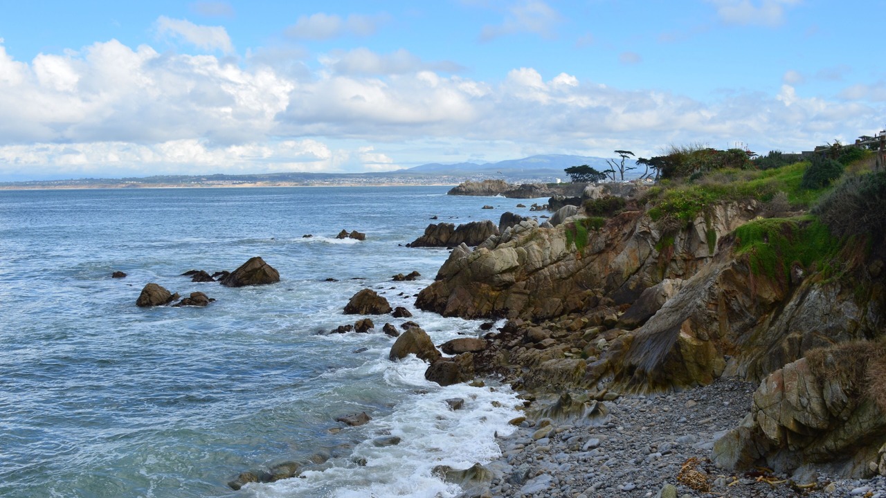 Photo of Others in Pacific Grove