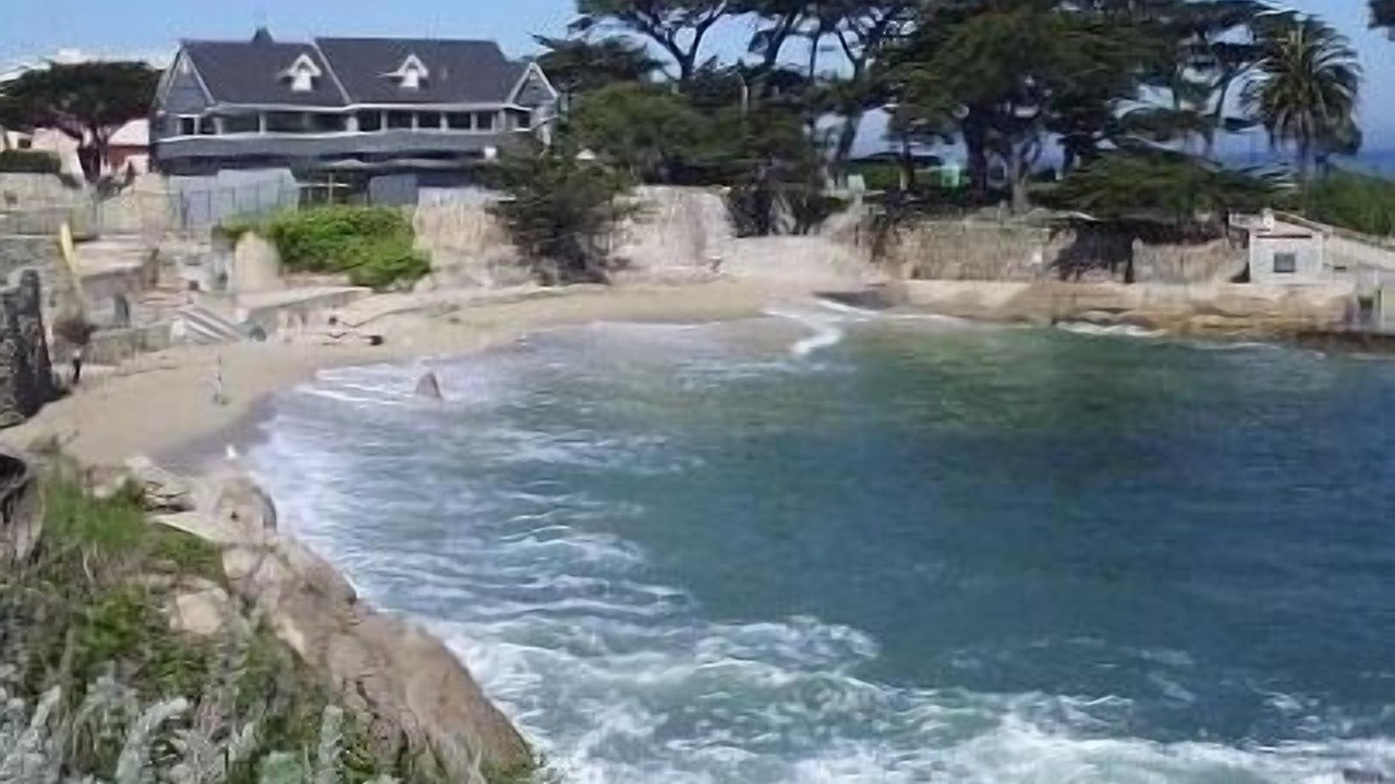 Photo of Others in Pacific Grove