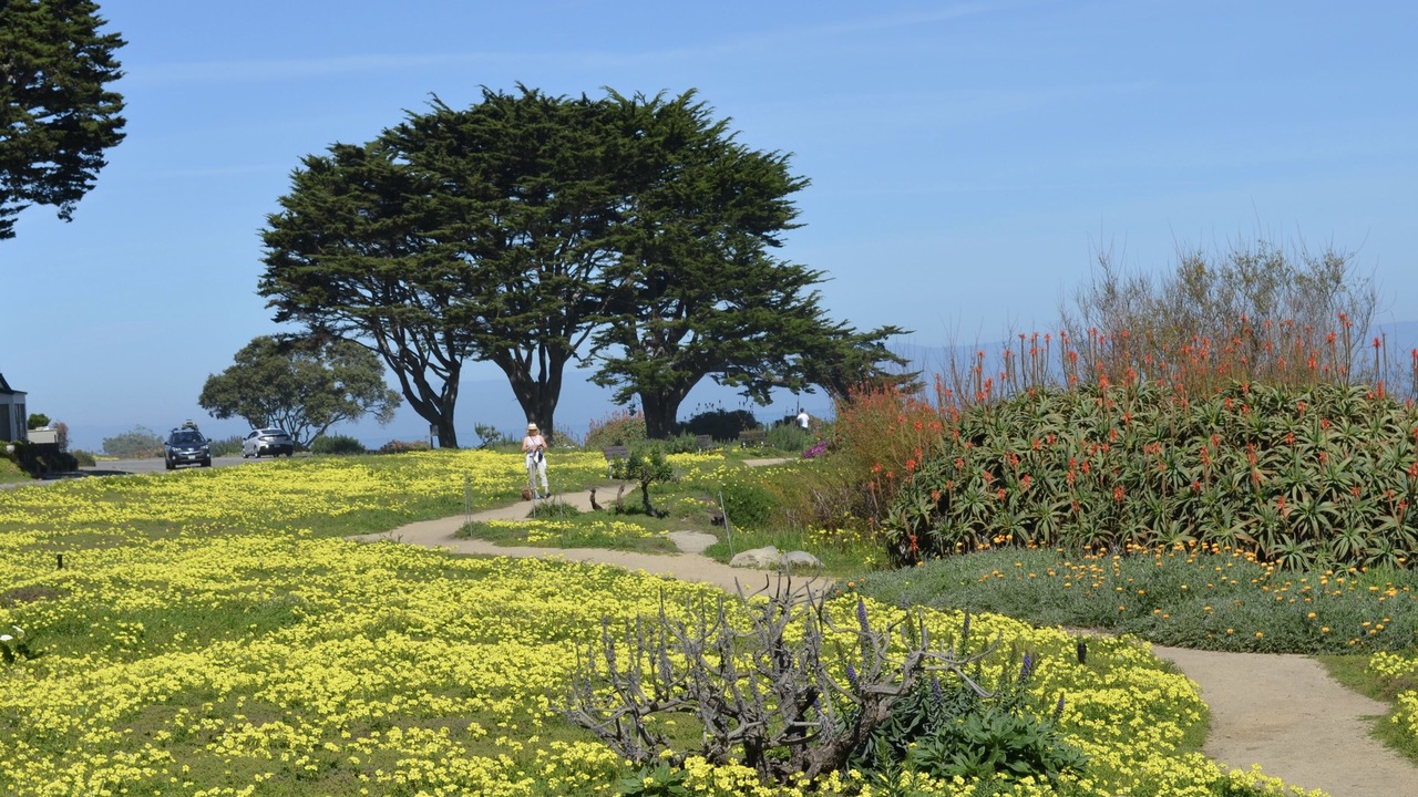 Photo of Others in Pacific Grove
