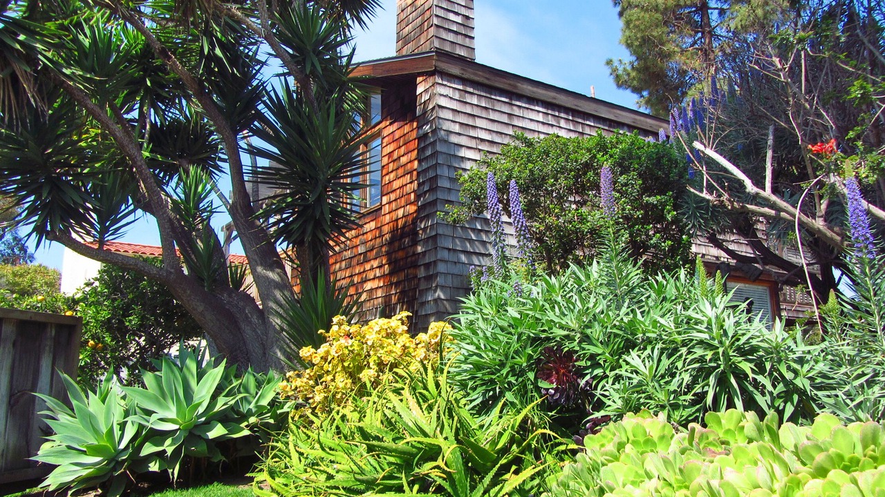 Photo of Others in Carpinteria