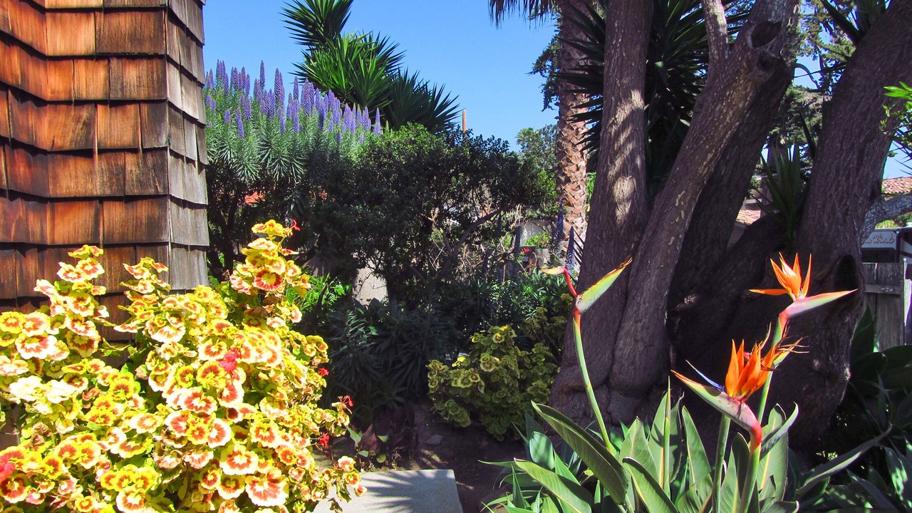 Photo of Others in Carpinteria