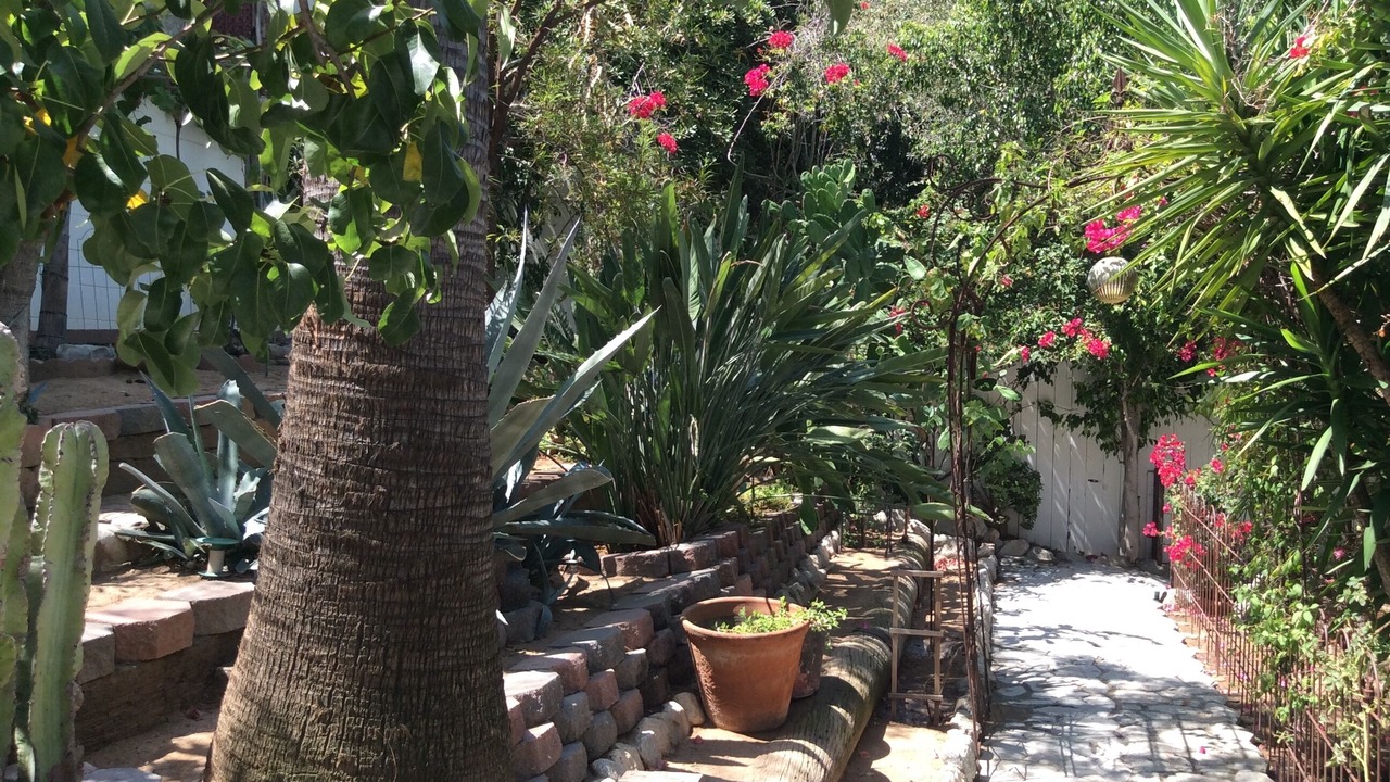 Photo of Outdoor in Eagle Rock