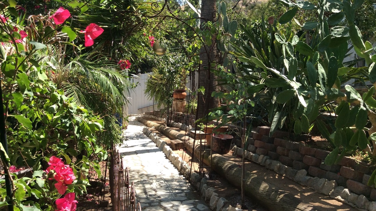 Photo of Outdoor in Eagle Rock